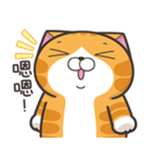 ランラン猫 22 (台湾版)（個別スタンプ：25）