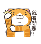 ランラン猫 22 (台湾版)（個別スタンプ：33）