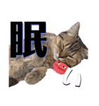 猫のイヴとモモンガおとちゃんの日常1（個別スタンプ：10）