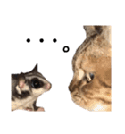 猫のイヴとモモンガおとちゃんの日常1（個別スタンプ：11）