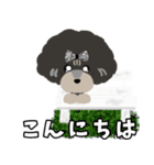 プードル おこわ（個別スタンプ：2）