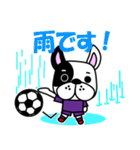 サッカー犬 紫ユニ版（個別スタンプ：37）