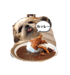 日々まるちゃん27（個別スタンプ：2）