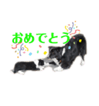 我が家のbuddyちゃん（個別スタンプ：26）