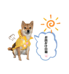 りこちこボンボンはなび（個別スタンプ：3）