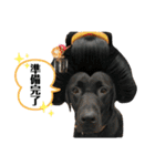 りこちこボンボンはなび（個別スタンプ：7）
