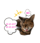 りこちこボンボンはなび（個別スタンプ：13）