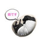 りこちこボンボンはなび（個別スタンプ：19）
