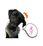りこちこボンボンはなび（個別スタンプ：20）