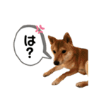 りこちこボンボンはなび（個別スタンプ：21）