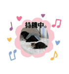 りこちこボンボンはなび（個別スタンプ：32）