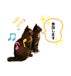 りこちこボンボンはなび（個別スタンプ：35）