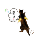 りこちこボンボンはなび（個別スタンプ：36）