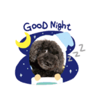 まりぼー⭐︎（個別スタンプ：3）