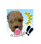 bungoのスタンプ5（個別スタンプ：12）