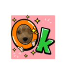 bungoのスタンプ5（個別スタンプ：15）