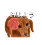 梨々香の手描きスタンプ（個別スタンプ：5）