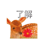 梨々香の手描きスタンプ（個別スタンプ：7）