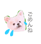 梨々香の手描きスタンプ（個別スタンプ：11）