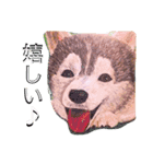 梨々香の手描きスタンプ（個別スタンプ：15）