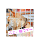 ゆりちゃん Part1（個別スタンプ：18）