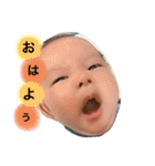 とうまでしゅ（個別スタンプ：1）