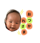 とうまでしゅ（個別スタンプ：8）
