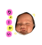 とうまでしゅ（個別スタンプ：12）