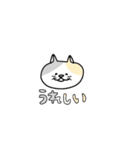 〜ねこの毎日〜（個別スタンプ：8）