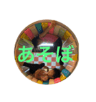 まりあfam（個別スタンプ：8）