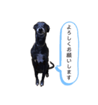 CHOCO and TEN（個別スタンプ：3）