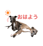 CHOCO and TEN（個別スタンプ：5）