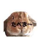 おだし feat.ひめ（個別スタンプ：9）