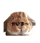 おだし feat.ひめ（個別スタンプ：10）