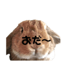 おだし feat.ひめ（個別スタンプ：12）