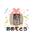 かんきちの1日（個別スタンプ：6）