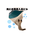 かんきちの1日（個別スタンプ：8）