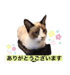 かんきちの1日（個別スタンプ：9）