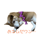 我が家の小言1️⃣（個別スタンプ：1）