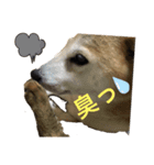 我が家の小言1️⃣（個別スタンプ：3）