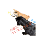 我が家の小言1️⃣（個別スタンプ：7）