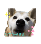 我が家の小言1️⃣（個別スタンプ：8）