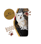 nico＆friends②（個別スタンプ：8）