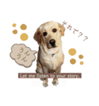 nico＆friends②（個別スタンプ：12）