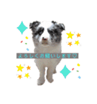 nico＆friends②（個別スタンプ：30）