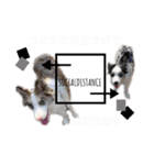 nico＆friends②（個別スタンプ：33）