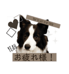 nico＆friends②（個別スタンプ：36）