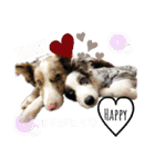 nico＆friends②（個別スタンプ：38）