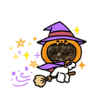 キジトラはちわれにゃんこのスタンプ（個別スタンプ：2）
