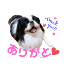 さぁちんず（個別スタンプ：1）